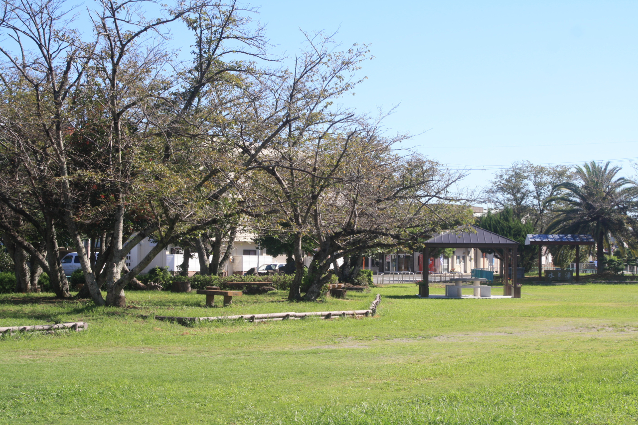 かつらぎ町、住み心地良すぎる!?